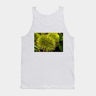 Chestnut Hedgehogs Tank Top